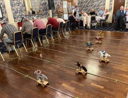 Race Night for Members and Friends